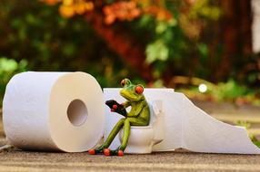 toy Frog with smartphone sits on Loo beside of toilet paper