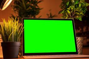 laptop with bright green screen