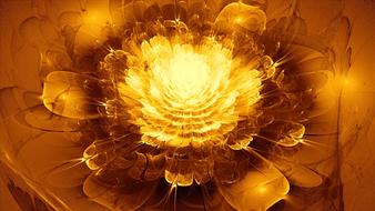 explosion orange gold flower