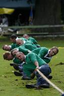 Men on the tug of war competition, on the green grass