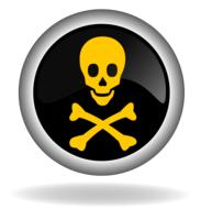 skull and bones button