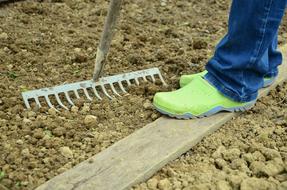 Garden bed grow