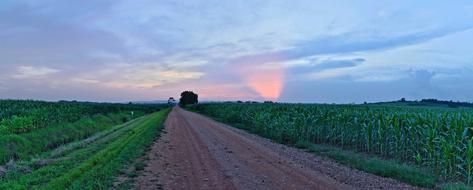 road among the fields at dusk