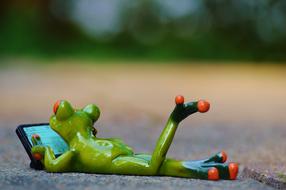 Cute and beautiful, green, and orange frog, using computer, on the road