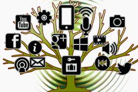 Green tree with black and white social network logos at white background