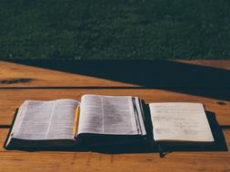 Open textbook and notebook on the wooden garden table near the plants
