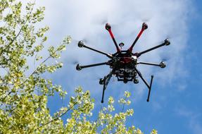 drone flies over a tree