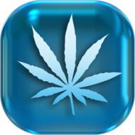 Blue 3d icon with blue and white marijuana