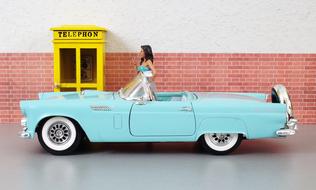 Model and Car Ford Thunderbird