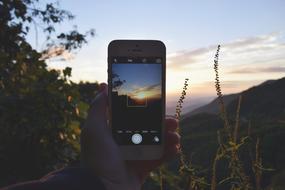 nature at dusk on smartphone screen