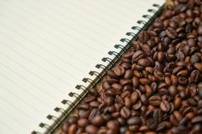 coffee beans next to the notebook
