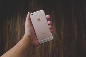 iphone apple in hand