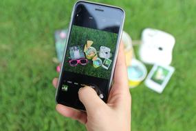 Person, taking photo of the colorful still life, on the green grass, on the smartphone