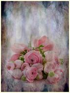 painted pink peonies bouquet