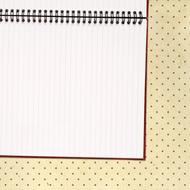 blank open notebook, template, drawing