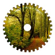 forest at fall image on gear surface