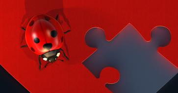 Model of the beautiful red and black ladybug on the red puzzle with one piece missing