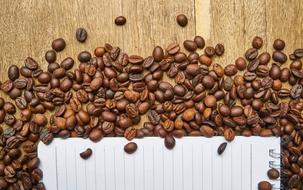 spiral notebook among coffee beans