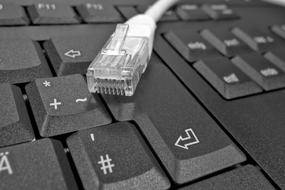 closeup view of the white cable lies on the computer keyboard