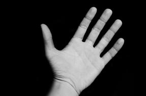 monochrome photo of hand