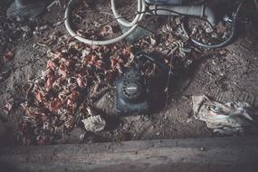 photo of antique phone, garbage and autumn leaves on the ground