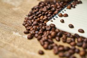Coffee Notebook Core beans