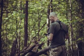 Back view of a man, with the camera, among the green plants, in the beautiful forest