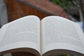 Beautiful, open book with black text on the pages