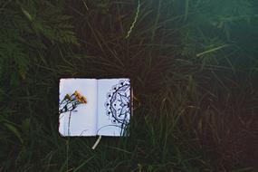 Notebook Grass Flower