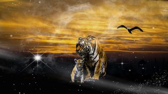 Cute and beautiful, colorful tigers and flying bird, on the landscape, at beautiful, yellow sunset, with the clouds, clipart