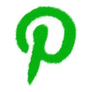 green social network logo