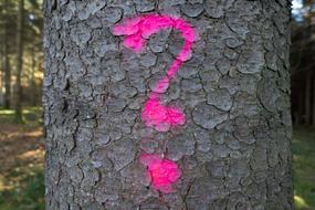 Characters Question Mark on tree