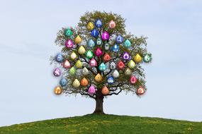 tree structure internet network as conceptual design