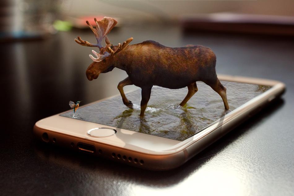moose on the Iphone screen