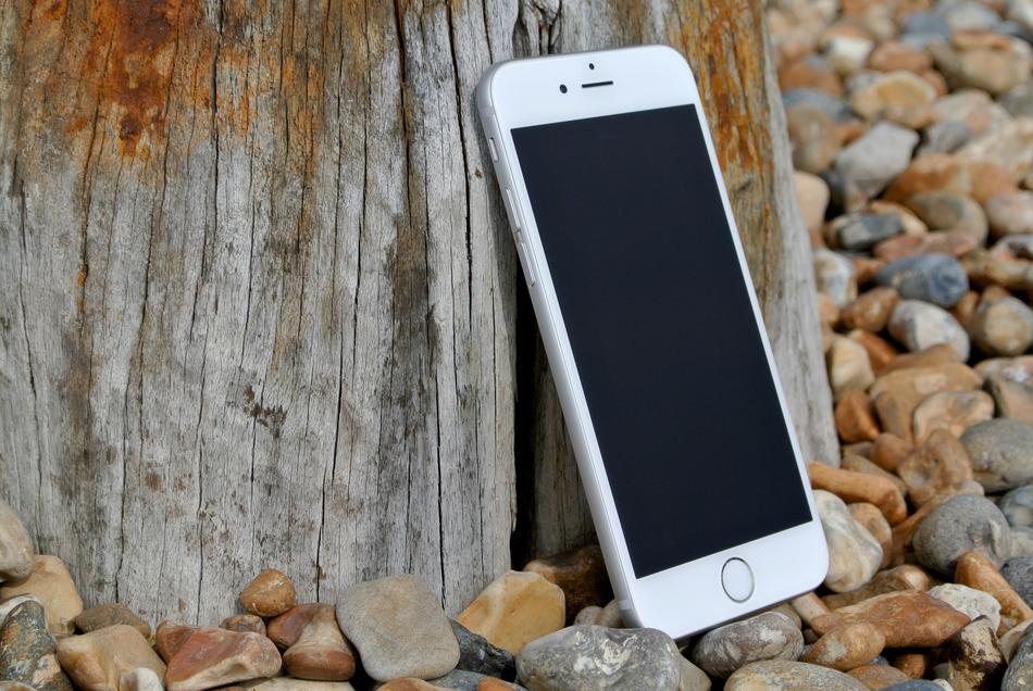 Iphone 6 tree stone