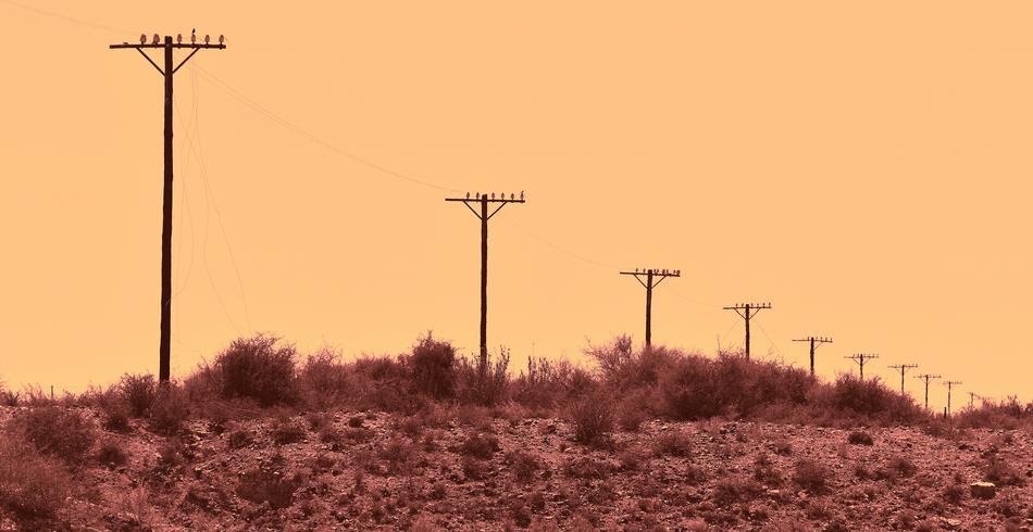 Telephone Lines Wires