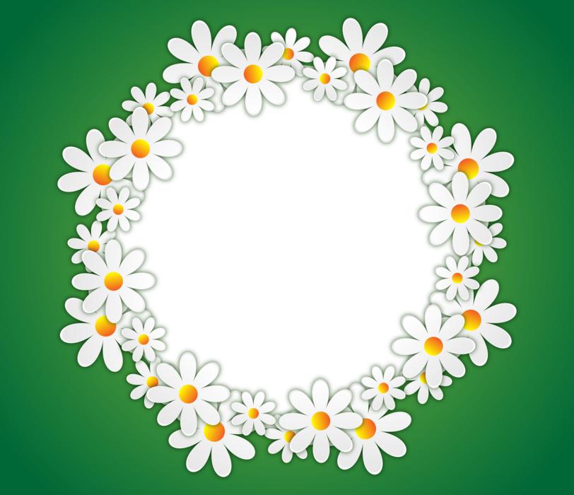 round photo frame with white flowers at green background