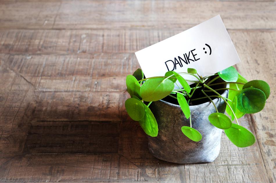 Thank You, Card in pot with plant on Table