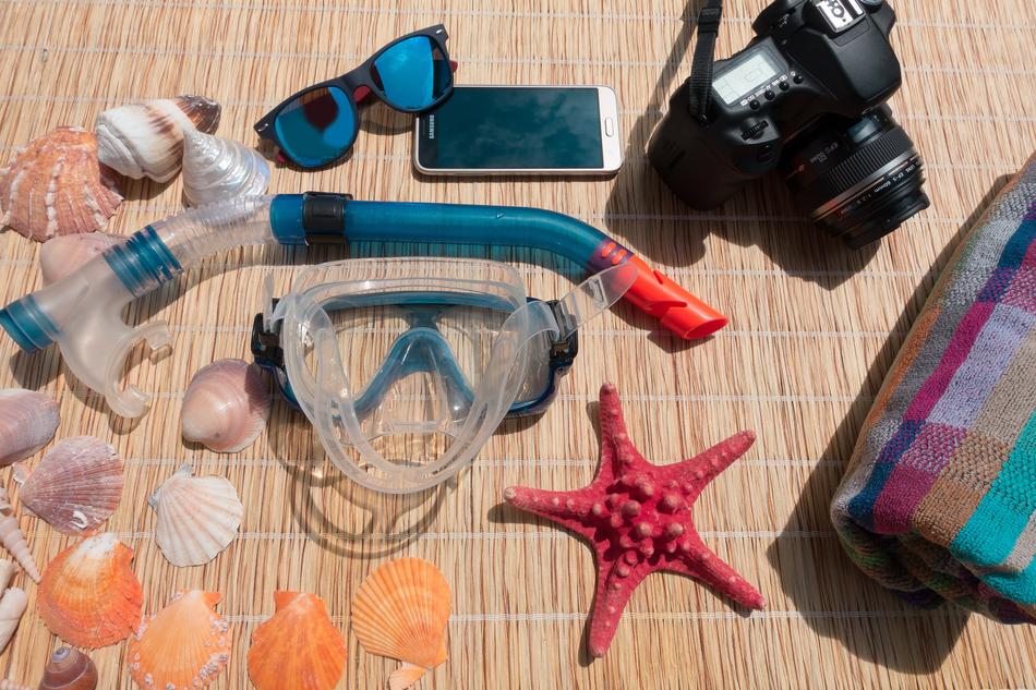 Beautiful and colorful swimming tools, creatures and devices