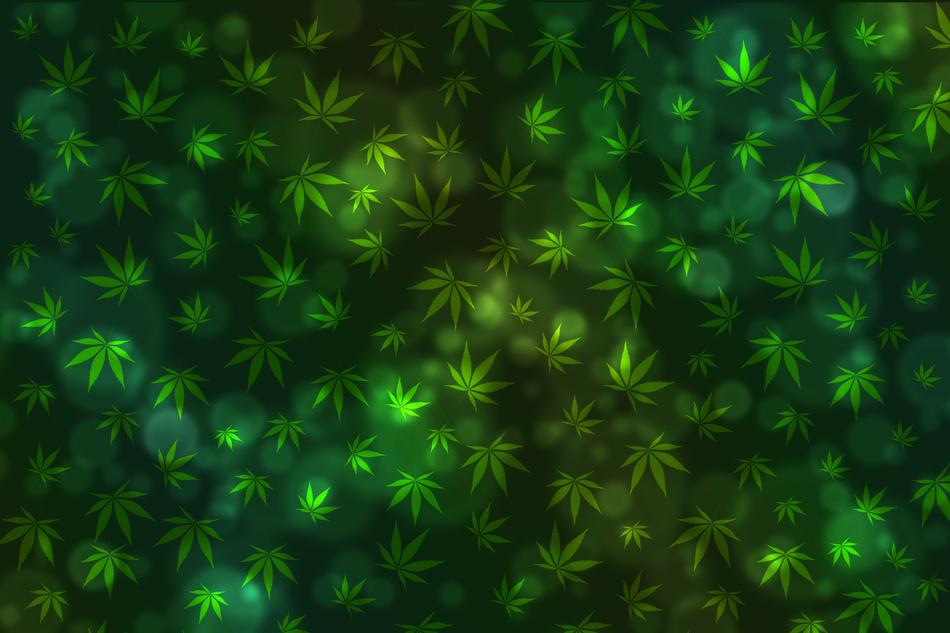 dark green background with marijuana leaves