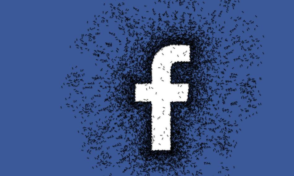 Blue facebook icon in insects at blue background