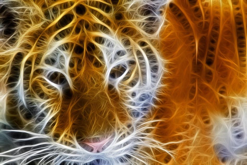 fractal art, tiger head