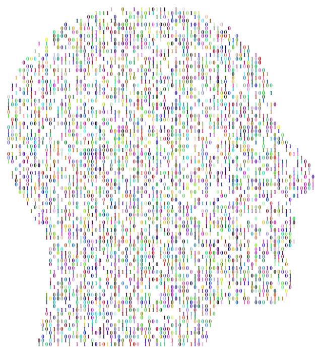 colorful cranium head