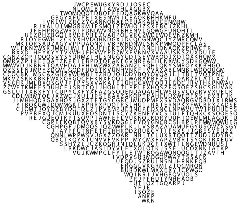 anatomy brain as an abstraction