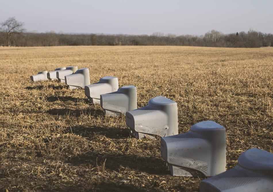 Computer monitors, on the beautiful, yellow field, with the shadows, among the green trees