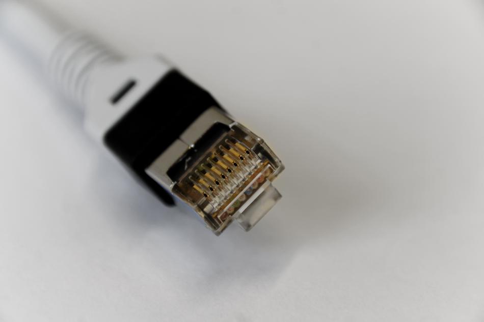 closeup view of Network Cables Line