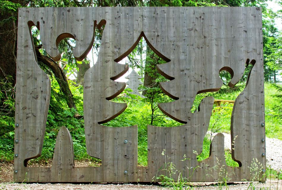 Shapes of the people and fir tree in the wooden board, among the green plants