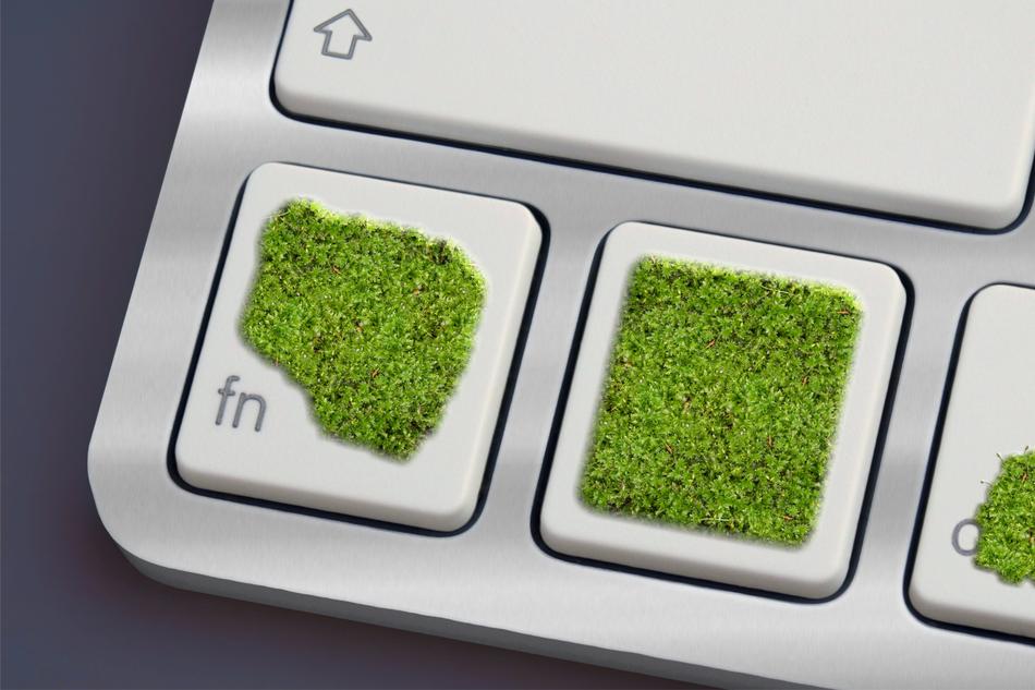 green moss on a computer keyboard