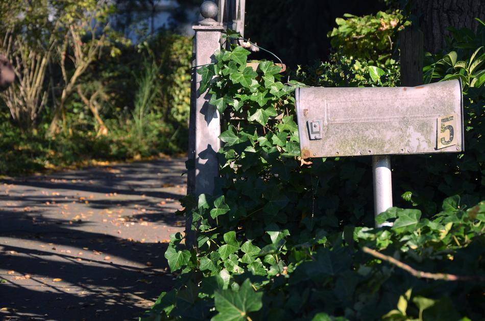 Old, retro post box, with number '5', among the green plants, near the road