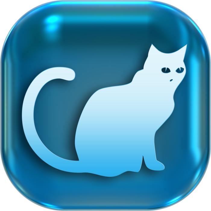 cat animal button